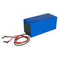 BAT12100-LIFEPO4