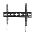 BT-BT9903/B
