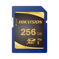 HS-SD-P10STD-256G