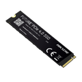 HS-SSD-FUTURE-2048G