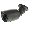 NV-19