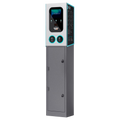 RD-GEMINI-POLE