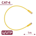 UTP6-H-1Y