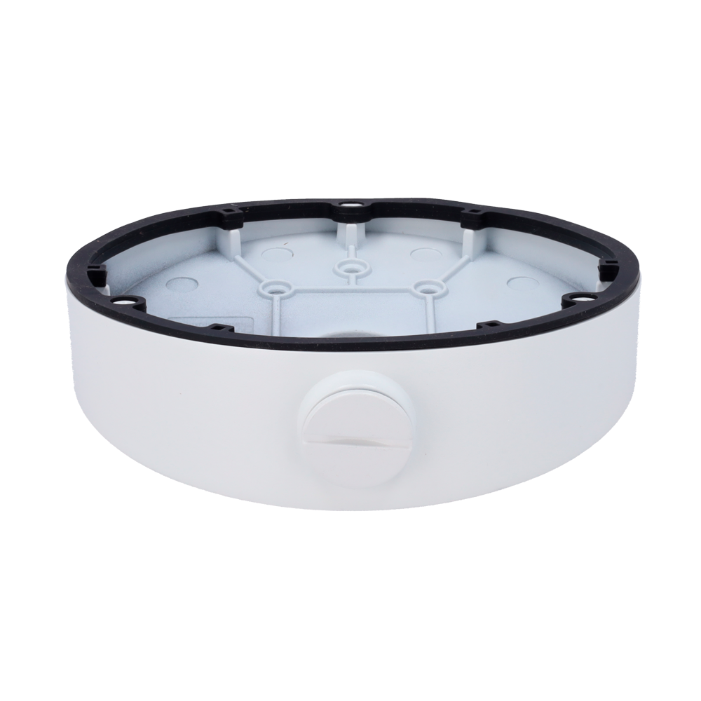 DS-1281ZJ-DM25(M1)
