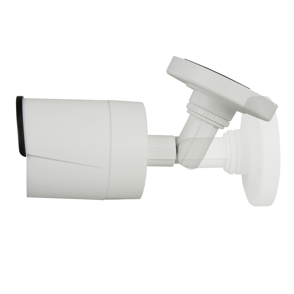 NV-19B