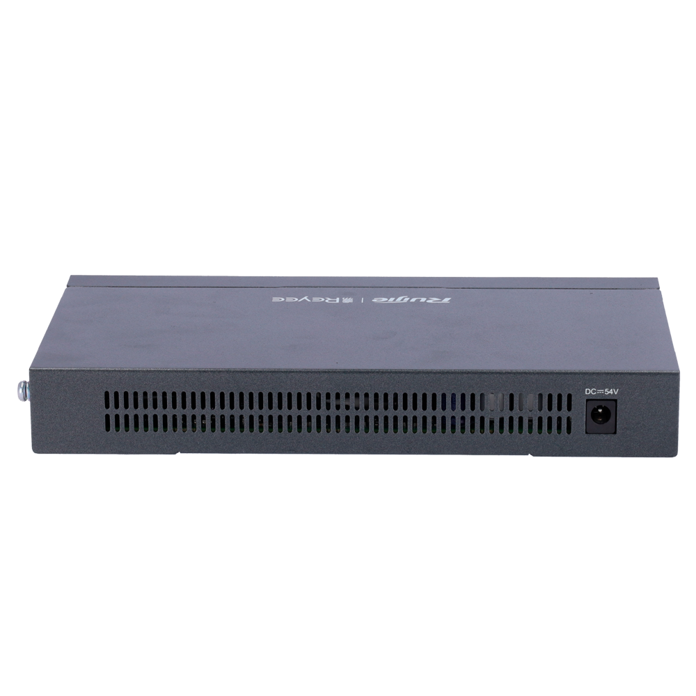RG-EG210G-P