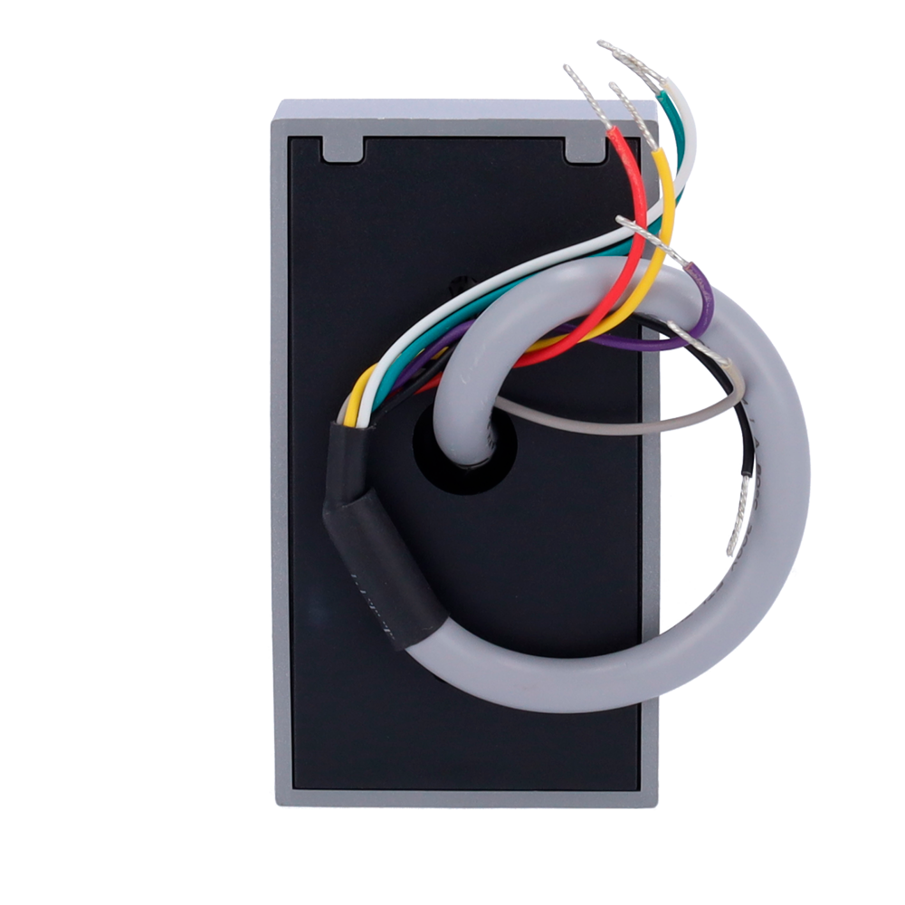 ZK-PROID10-B-WG-1