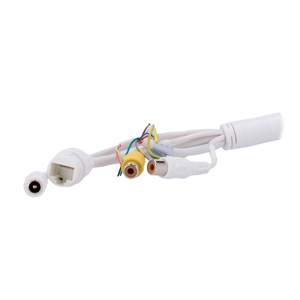 XS-IPTT256A-2D4-WIZ