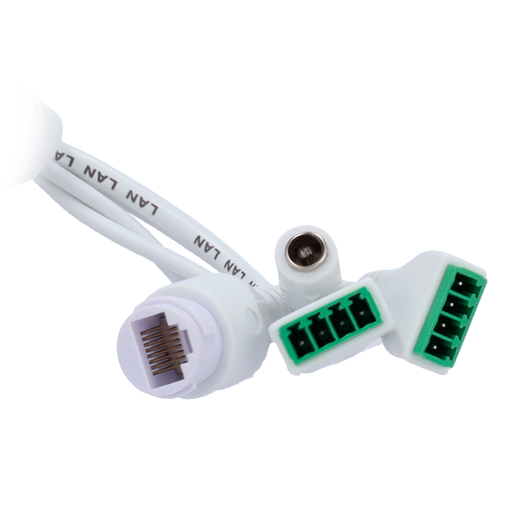 MS-C2964-RFLPE