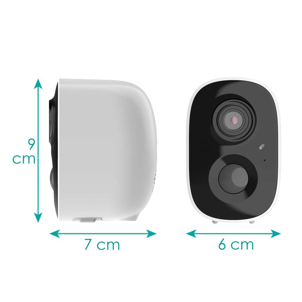 CG6