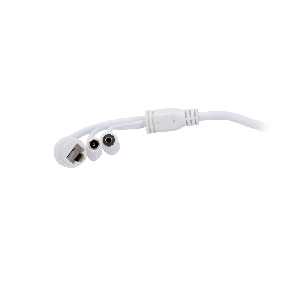 SF-IPT020A-8B1-DL