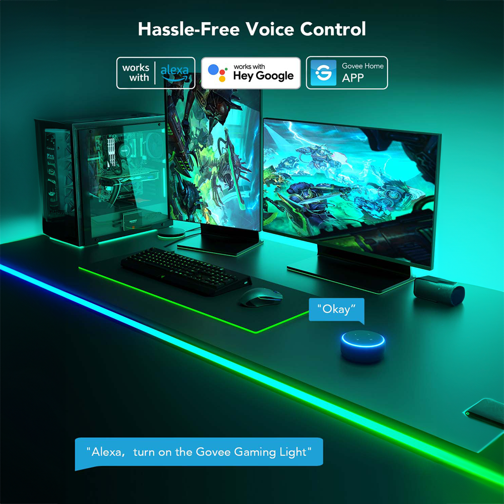 GV-NEON-H61C3-3M-DESK